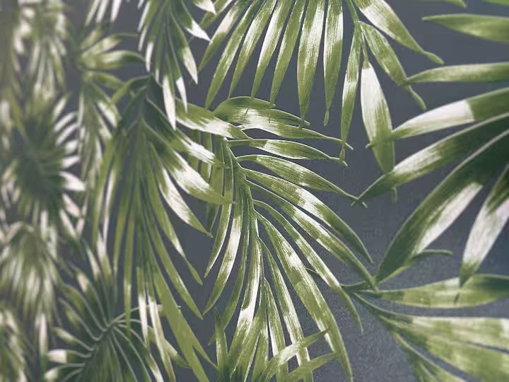 Palm Haven Pool House tropical wall art at a direct-booking vacation rental in Phoenix, Arizona