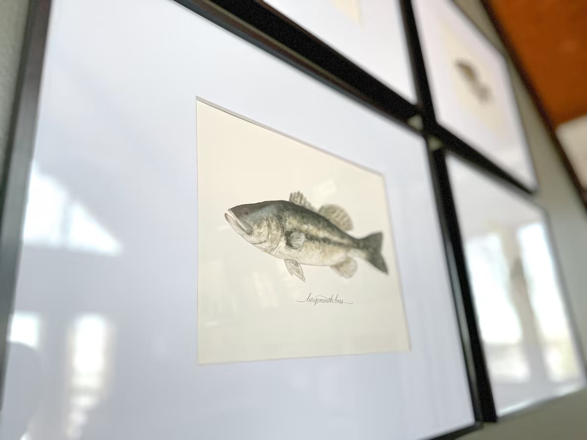 The Angler's Canoe Lake House - Guest Amenities The Angler's Canoe Lake House guest amenities at a direct-booking vacation rental in Cedar Bluff, Alabama